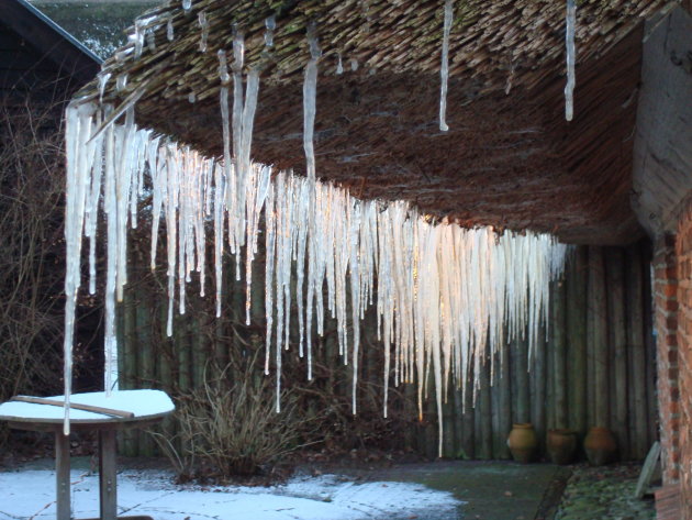 Winter in Holland