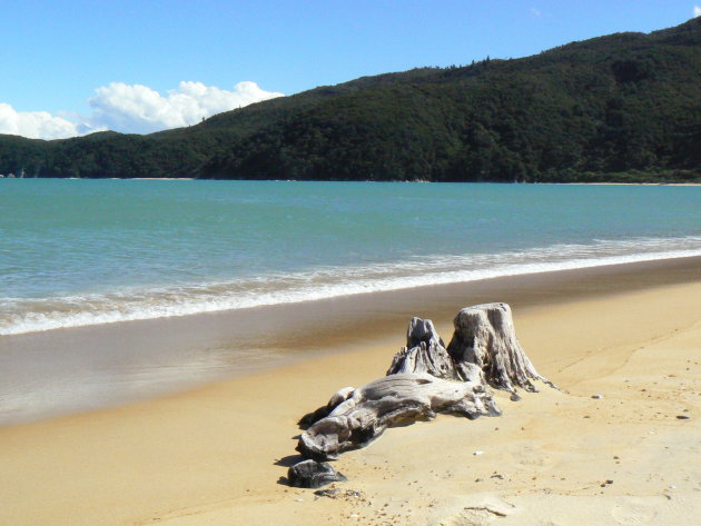 Prachtig strand in Abel Tasman NP