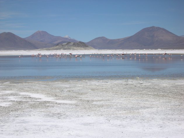 Salar de Surire