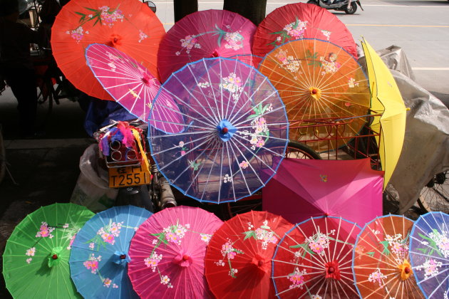 Chinese parasols