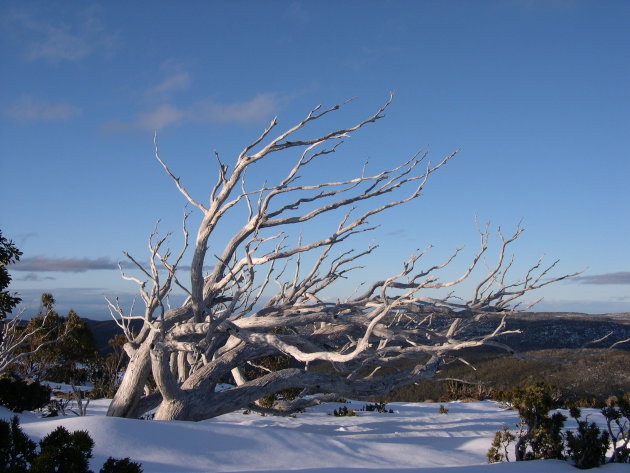 Winterlandschap