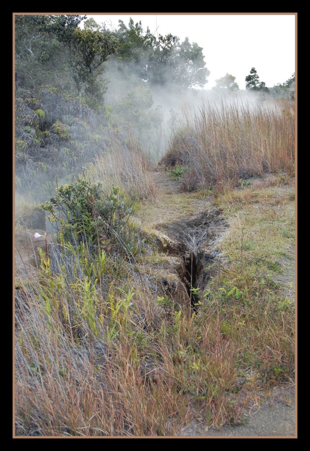 Steamy Grounds