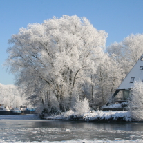 '152137' door Henkannemiek