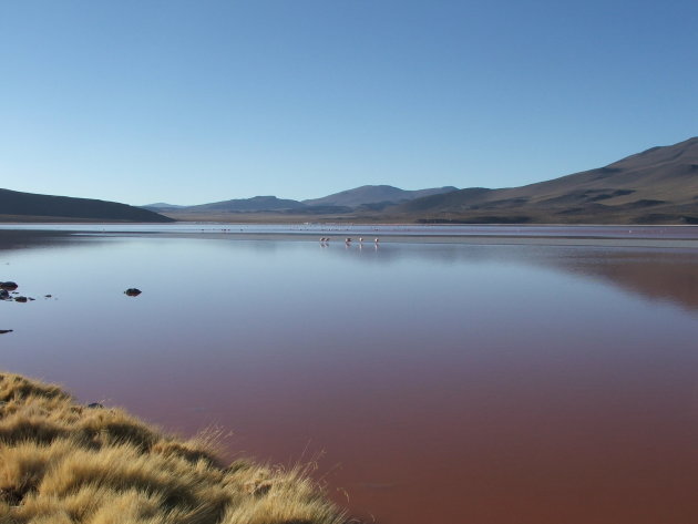 Lago colorado