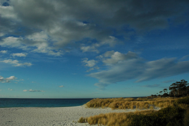 Strand op Tasmanie