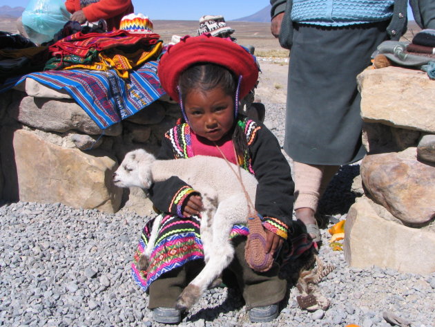 Portret van kind met lama