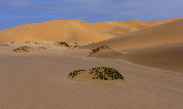Namib woestijn