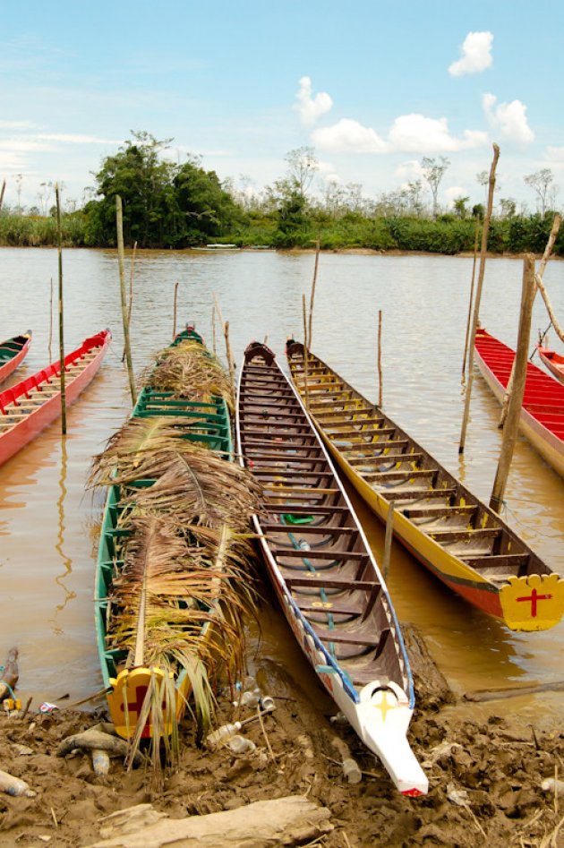 Traditional boat races Marudi