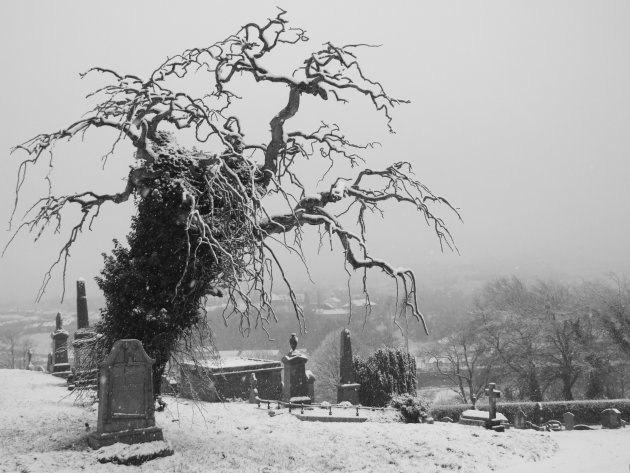 Kerkhof in de sneeuw