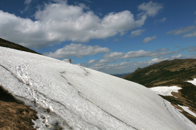 july at Chrnogora range