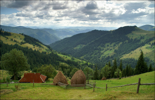 Mountain Dwelling