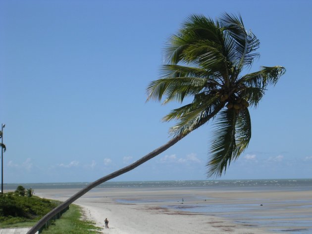 Strand ten noorden van Recife