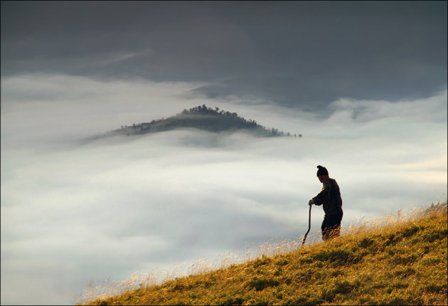 The Master of the Foggy Valley