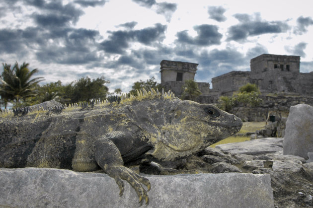 tulum