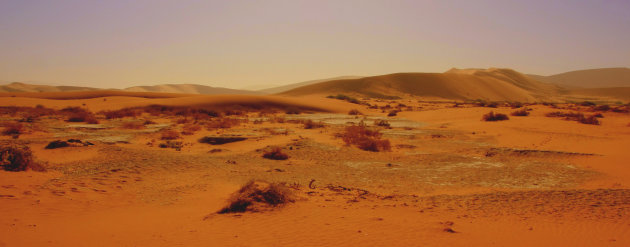 panorama Sossusvlei