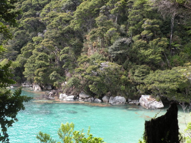 Abeltasman park