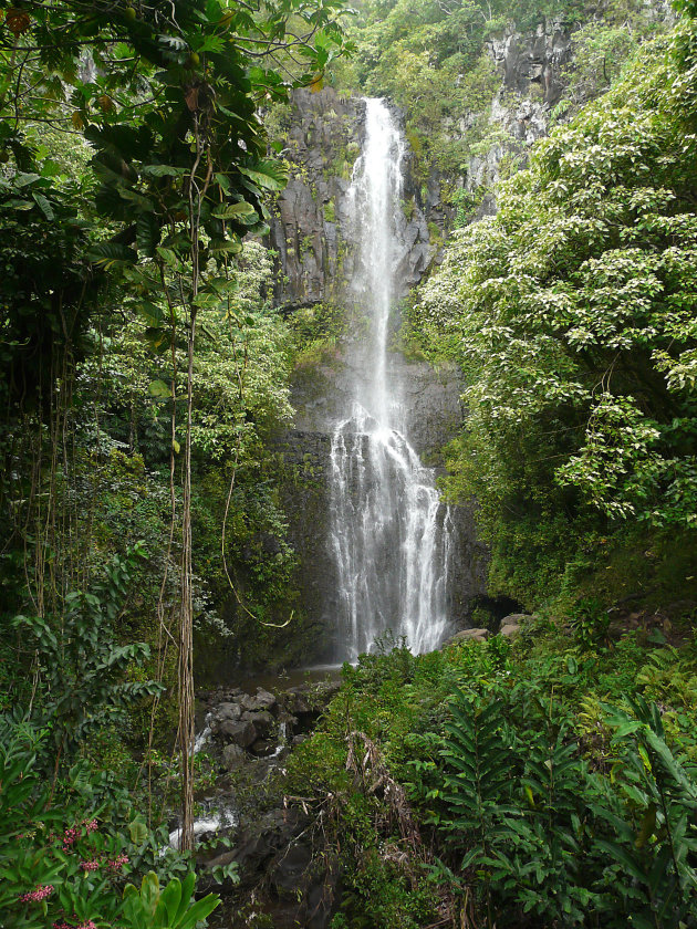 Tropical falls