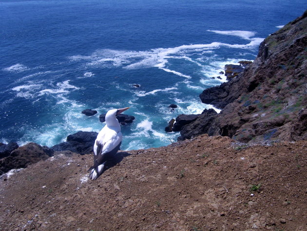 isla de la plata