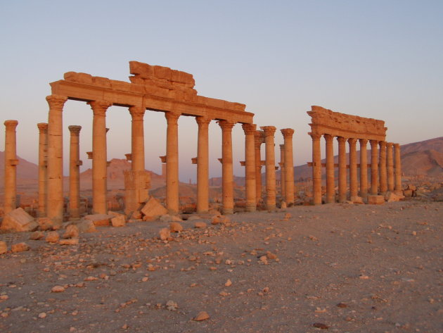 Palmyra