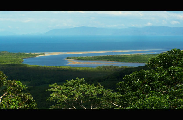 Where the rainforest meets the reef