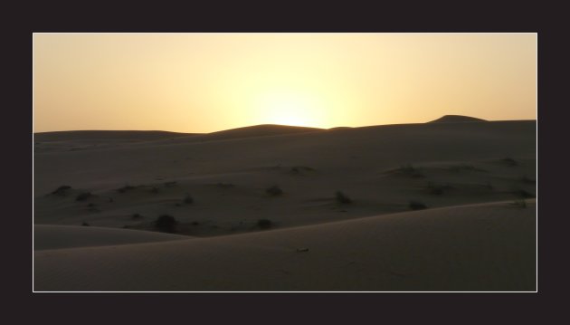 Woestijnnacht