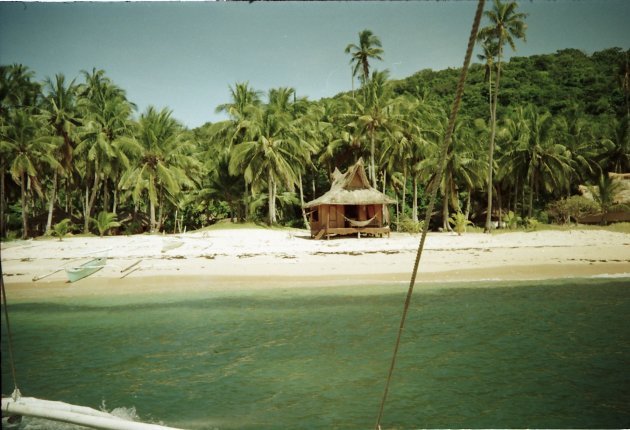 Flower Island