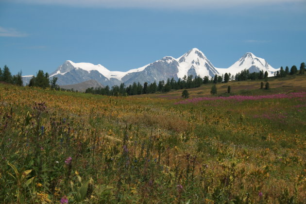 Op de steppe naar de mount Belukha