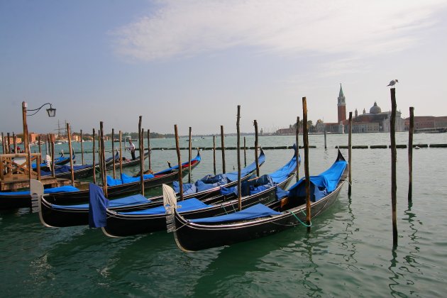 Afgemeerde gondels in Venetië