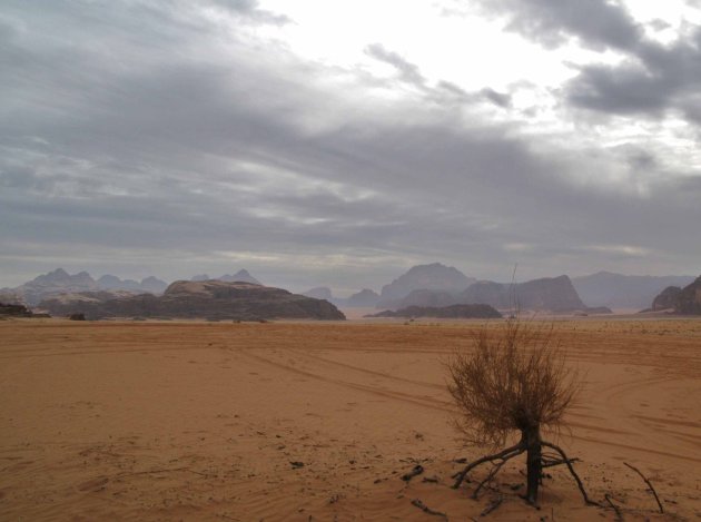 Wadi Rum