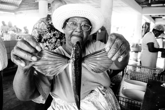 Local showing the local symbol of Barbados