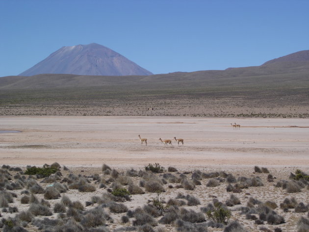 Vulkaan El Misti