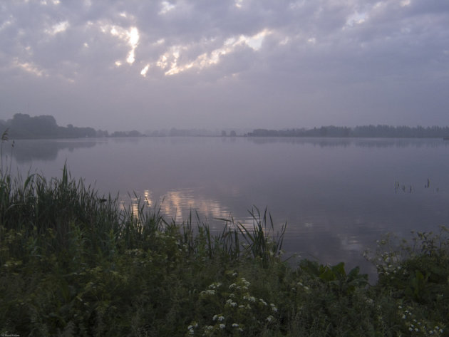 Ochtend gloren