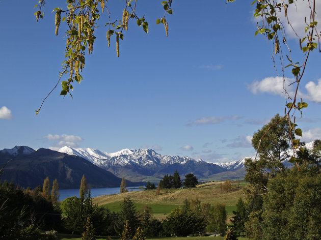 Landschap bij Wanaka