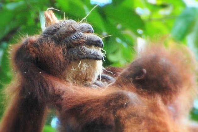 Drinken bij mama