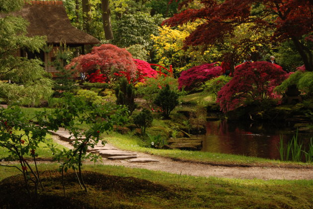 Japanse tuin - Park Clingendael - Den haag