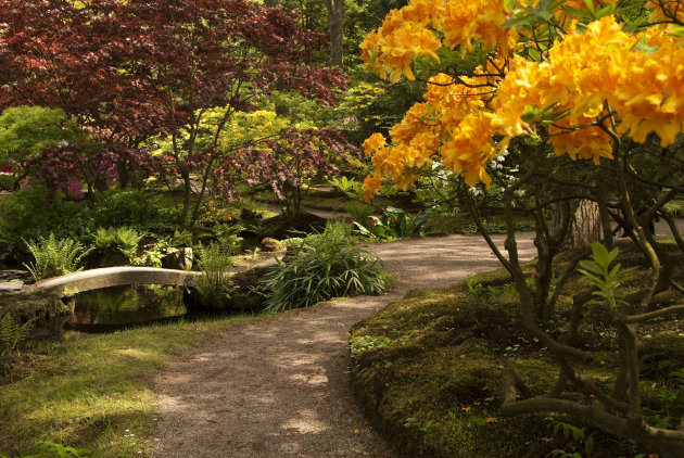 Japanse tuin - Park Clingendael - Den Haag