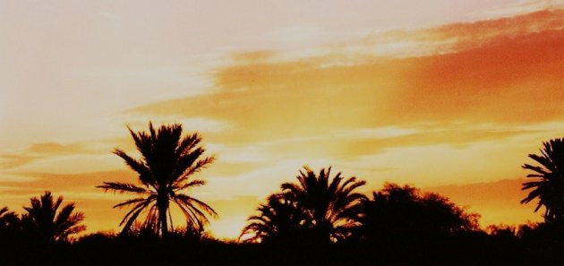 Sunset at the palmisland