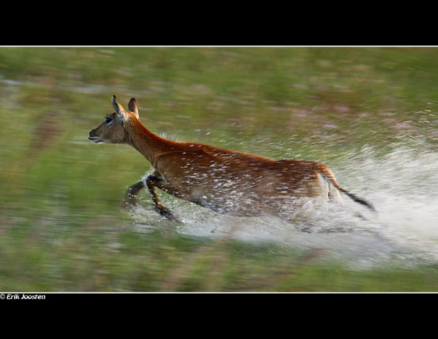 WATERbok