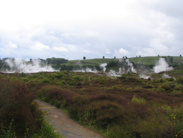 Zwavellandschap in de buurt van Rotorua