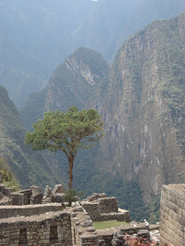 Uitizcht vanuit Machu Picchu