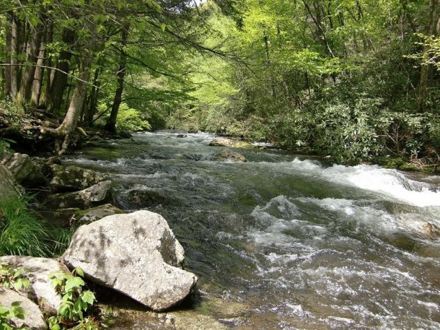 Great Smokey Mountains