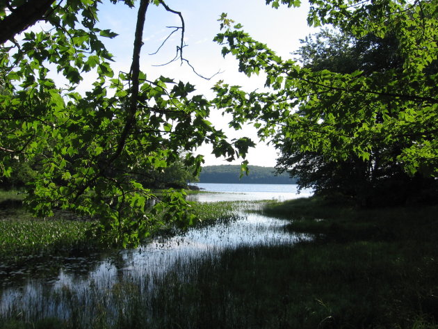 prachtige bossen en meren