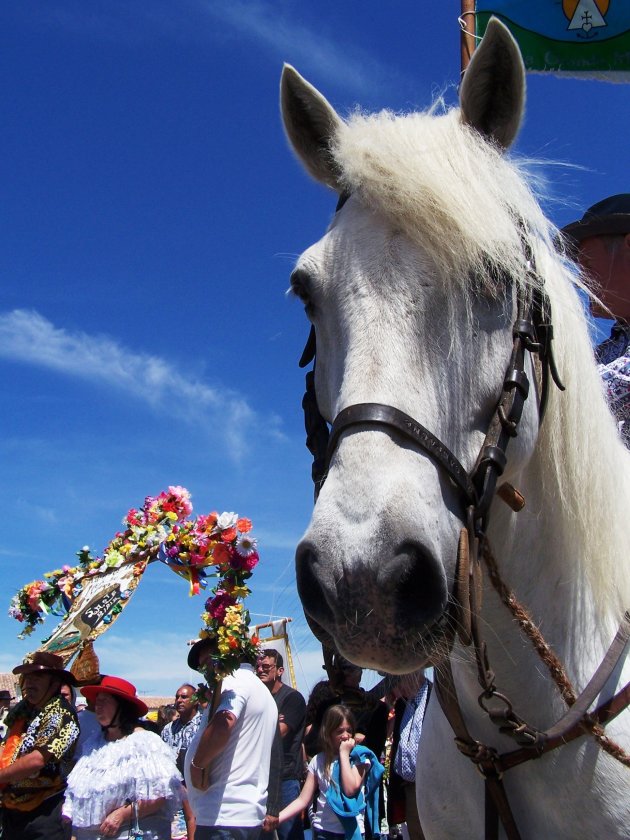 Fete des Gitans 