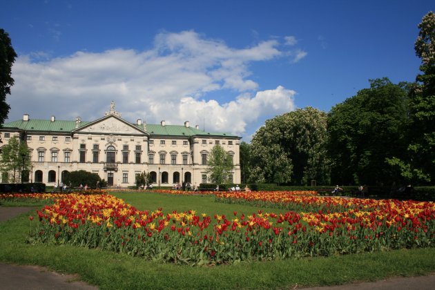 Wandering around the parc