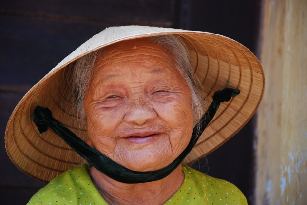 Vietnamees welvaren