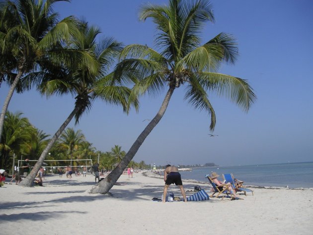 palmstranden op Key West