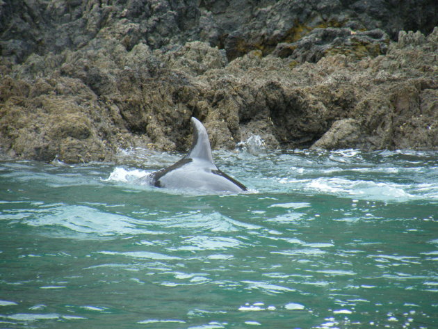 Bay of Islands