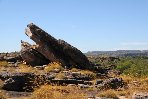 Petrified prehistoric monster