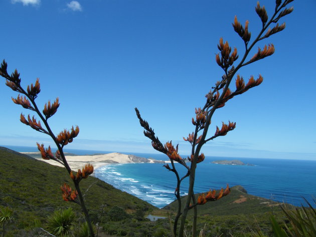 Ninety mile beach en Cape Reinga