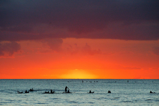 Niet uit het water te krijgen, die surfers